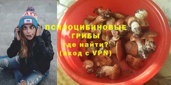 а пвп мука Верхний Тагил