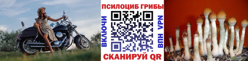 Галлюциногенные грибы мухоморы  Купить закладки  Видное 
