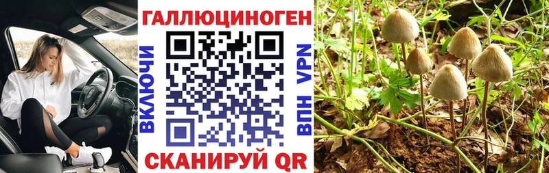 Галлюциногенные грибы Magic Shrooms Видное